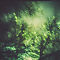 01-confusion-of-celine.jpg