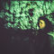07-confusion-of-celine.jpg