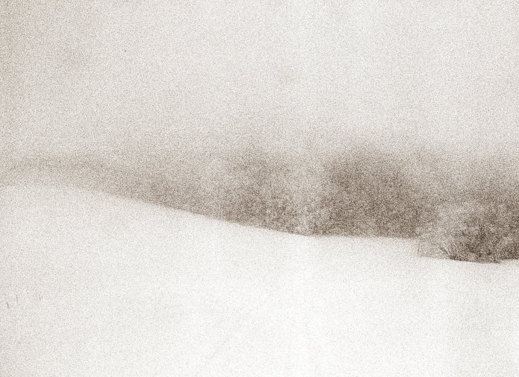 snow02.jpg