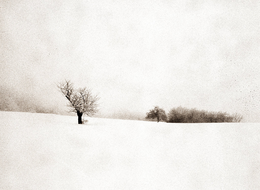 snow03.jpg