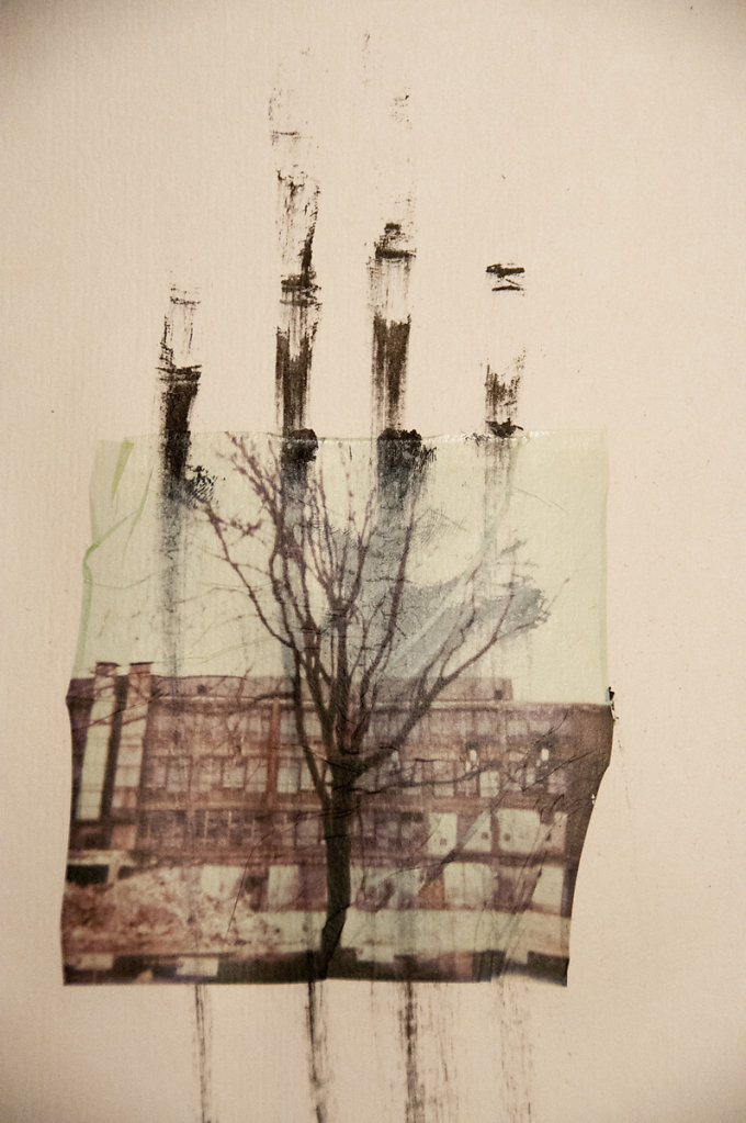 the last tree